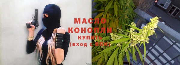 сатива Козловка