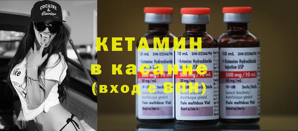 сатива Козловка