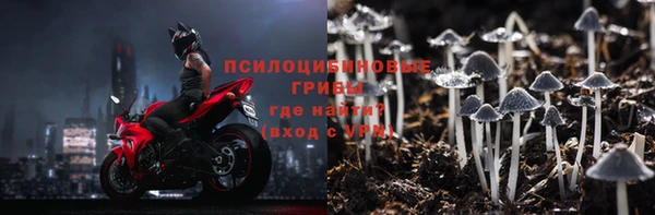 сатива Козловка