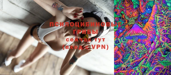 сатива Козловка
