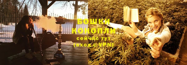сатива Козловка