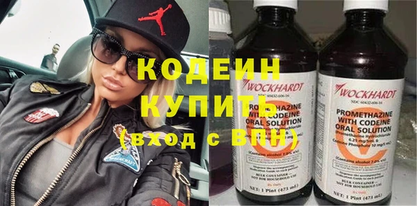 сатива Козловка