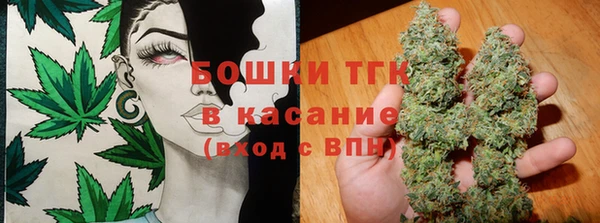 сатива Козловка