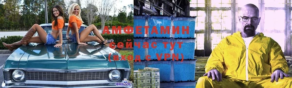 сатива Козловка