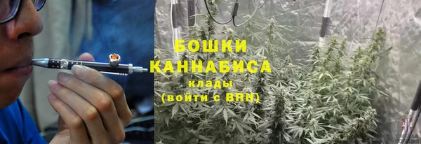 сатива Козловка