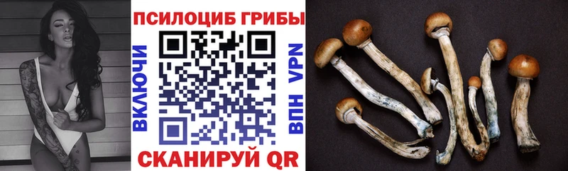 Галлюциногенные грибы прущие грибы  Купить где  Фокино 