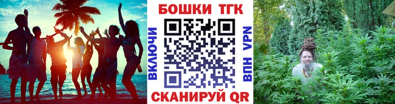 Купить где  Фокино  МАРИХУАНА SATIVA & INDICA 